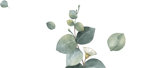 Boda de Vicente y Araceli