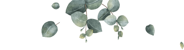 Boda de Vicente y Araceli